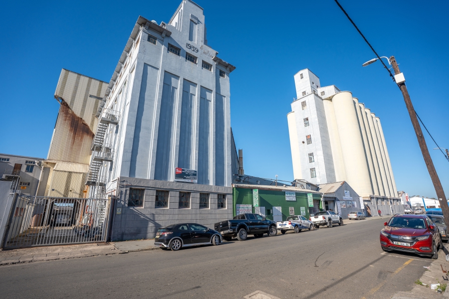 Commercial Property for Sale in Arcadia Eastern Cape
